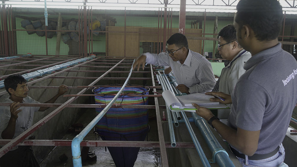 Xelect, De Heus y Fresh Studio anuncian una asociación para la acuicultura sostenible en Myanmar