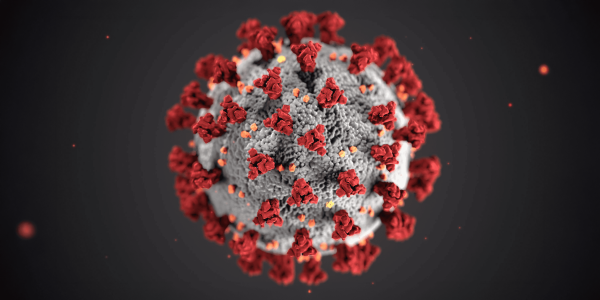 Blog Coronavirus