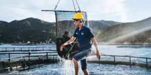 Blog-Australis-Nha-Trang-e1738159864922 (1)