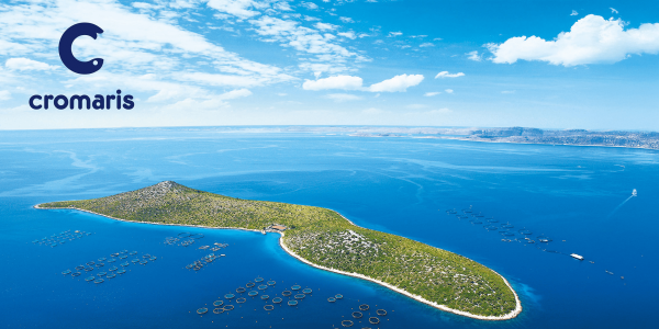 Blog-Cromaris
