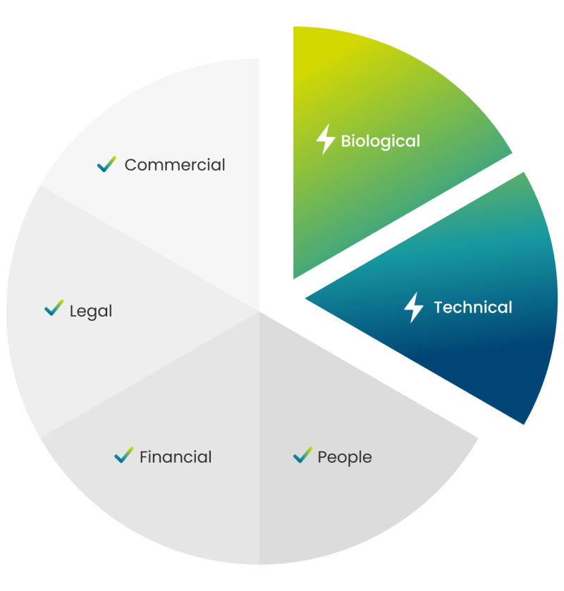 Pie Chart