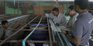 Blog Fish Farm