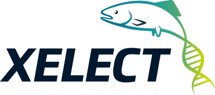 Xelect Logo