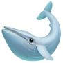 🐋