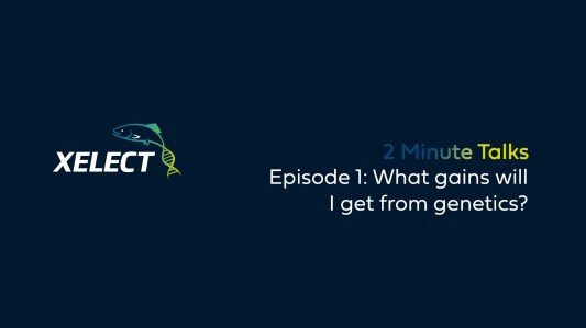 2-Min-talks-Ep1