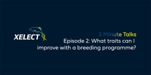 Blog-Image-2-Min-talks-Ep2