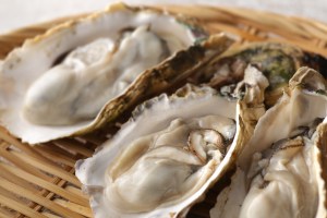 冬の海の味覚の殻付きの牡蠣 冬の海の味覚の殻付きの牡蠣