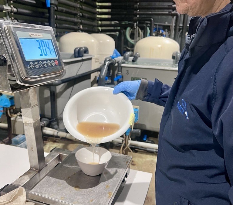 Valle Ca Zulian Pic 4