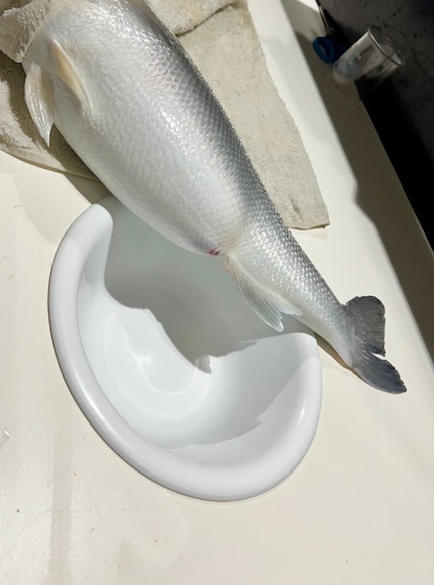 Valle Ca Zuliani Pic 1