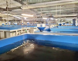 Valle Ca Zuliani Pic 3