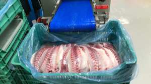 Front Picture Fillets_April 2026