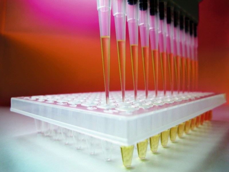Laboratory